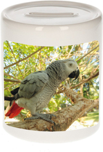 Dieren foto spaarpot grijze roodstaart papegaai 9 cm - papegaaien spaarpotten jongens en meisjes