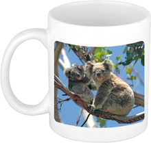 Foto mok koala beer mok / beker 300 ml - Cadeau koalaberen liefhebber