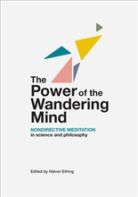The power of the wandering mind : nondirective meditation in science and philosophy