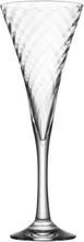 Helena Champagne 25 Cl 4-Pack Home Tableware Glass Champagne Glass Nude Orrefors*Betinget Tilbud