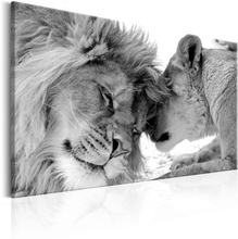 Lærredstryk Lion's Love