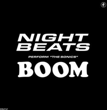 Night Beats Feat The Sonics: Night Beats...