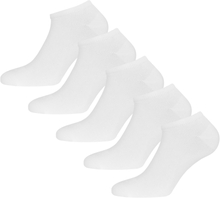 Urberg Urberg Bamboo Shaftless Sock 5-Pack Bright White Vardagsstrumpor 36-39