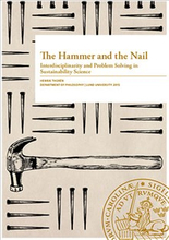 The Hammer and the Nail