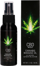 CBD Cannabis Massage Oil - 50 ml
