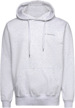 Heavyweight Organic Logo Hoodie - Ash Tops Sweatshirts & Hoodies Hoodies Grey S.T. VALENTIN