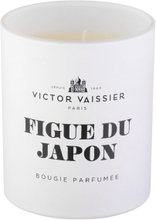 Victor Vaissier Figue Du Japon Scented Candle 220 g
