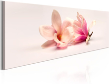 Billede - Beautiful Magnolias - 135 x 45 cm