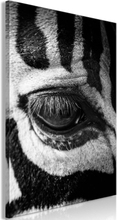 Billede - Zebra Eye Lodret - 60 x 90 cm