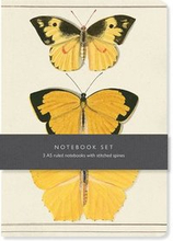 Butterfly Notebook Set: 3 A5 Ruled Notebooks with Stitched Spines