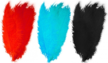 6x stuks grote veer/struisvogelveren 2x zwart 2x blauw en 2x rood van 50 cm