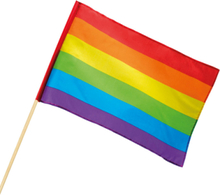 Stort Regnbuefarget Håndflagg 45x30 cm