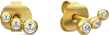 Etcetera Earring - Gold Accessories Jewellery Earrings Studs Gull Julie Sandlau*Betinget Tilbud