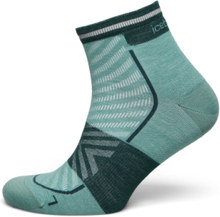 Men Merino Run+ Ultralight Mini Sport Socks Regular Socks Green Icebreaker