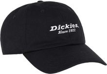 Dickies Dickies Men's Twill Dad Hat Black Kepsar OneSize