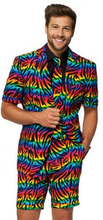 Kostume sommer Wild Rainbowmens polyester mt 60