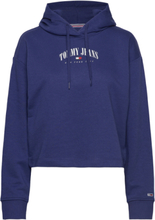 Tjw Rlx Essential Logo 2 Hoodie Tops Sweatshirts & Hoodies Hoodies Blue Tommy Jeans