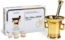 Bio-Silica-MSM