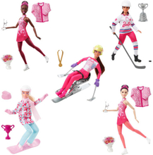 Barbie HCN30 dockor