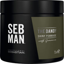 Sebastian Sebman The Dandy Shiny Pommade Hårvax 75 ml