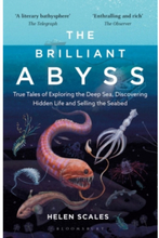 Brilliant Abyss - True Tales of Exploring the Deep Sea, Discovering Hidden (pocket, eng)