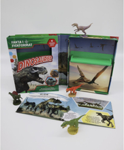 Dinosaurier : upptäck roliga fakta om dinosauriernas värld (bok)