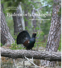 Tjädern och urskogen : i Tyresta nationalpark (inbunden)