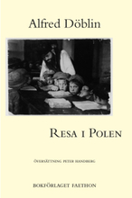 Resa i Polen (bok, danskt band)