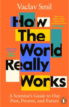 How the World Really Works - A Scientist's Guide to Our Past, Present and F (pocket, eng)