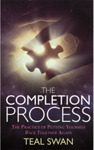 Completion process - the practice of putting yourself back together again (häftad, eng)