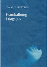 Framkallning i dagsljus (bok, danskt band)