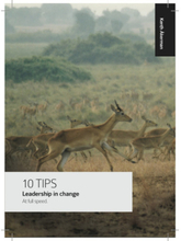 Leadership in change : at full speed (häftad, eng)
