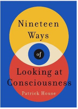 Nineteen Ways of Looking at Consciousness (pocket, eng)