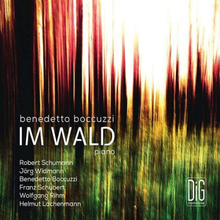 Benedetto Boccuzzi : Benedetto Boccuzzi: Im Wald CD (2022)