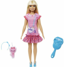 Doll Barbie HLL19
