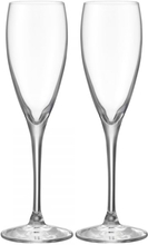 More Champagne glass 18cl, 2-pack - Orrefors