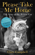 Please Take Me Home: Story of Rescue Cat by Campbell, Christy