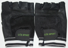 Workout Gloves, Gym Workout