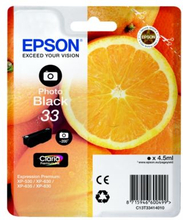 Epson Epson 33 Blækpatron sort foto