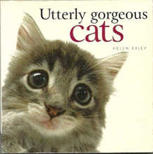 Utterly Gorgeous Cats by Pam Brown
