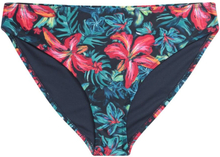 Animal Womens/Ladies Docks Floral Bikini Bottoms