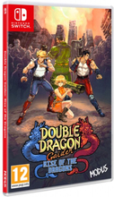 Double Dragon Gaiden: Rise of the Dragons (SWITCH)