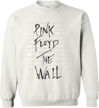 Pink Floyd- The Wall album college