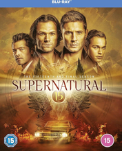 Supernatural - Season 15 (Blu-ray) (Import)