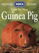 The Official RSPCA Pet Guide �” Care for your Guinea Pig by RSPCA