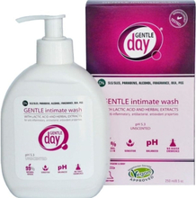 Gentle Day Gentle Intimihygieniapesu 250 ml