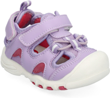 Pepper Pax Shoes Summer Shoes Sandals Purple PAX
