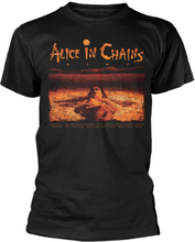 Alice In Chains Unisex Adult Dirt Track List T-Shirt