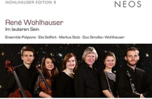 René Wohlhauser : René Wohlhauser: Im Lauteren Sein CD (2021)