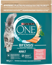 PURINA One Bifensis Adult Salmon - kissan kuivaruoka - 800 g